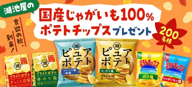 湖池屋:毎月応募(2025年9月)