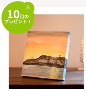 ナカバヤシ：毎月応募（2025年10月）