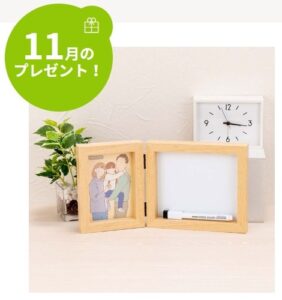 ナカバヤシ：毎月応募（2025年11月）