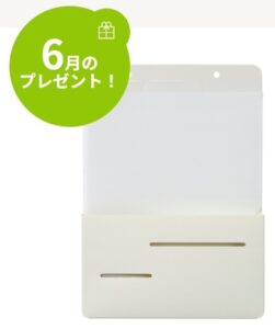 ナカバヤシ：毎月応募（2026年6月）