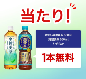やかんの濃麦茶 当選